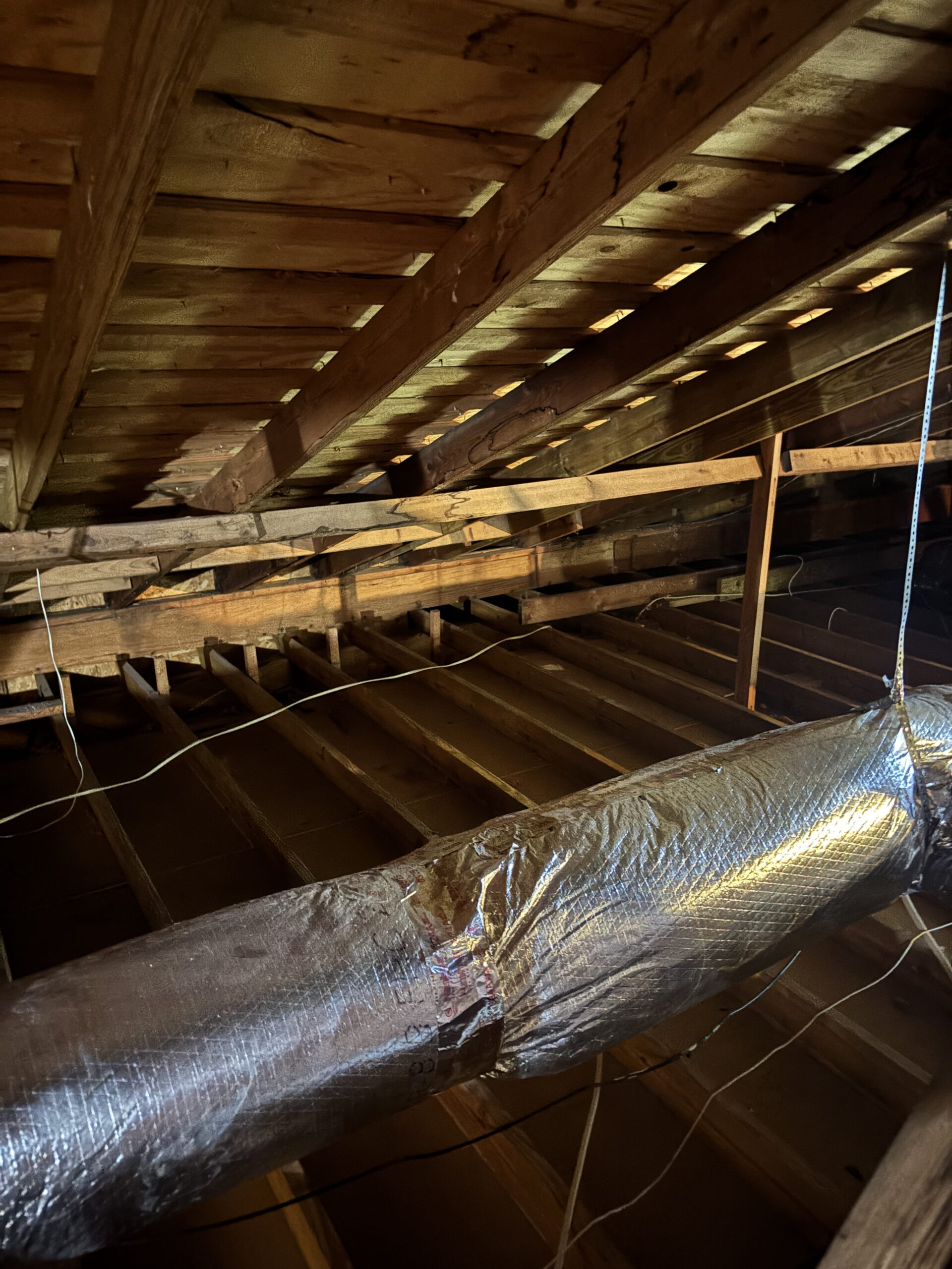 Insulation Removal